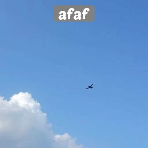 Ulasan Lengkap untuk Pengguna Baru di Afaf